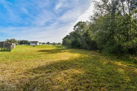 30626 Birdhouse Drive Wesley Chapel FL 33545