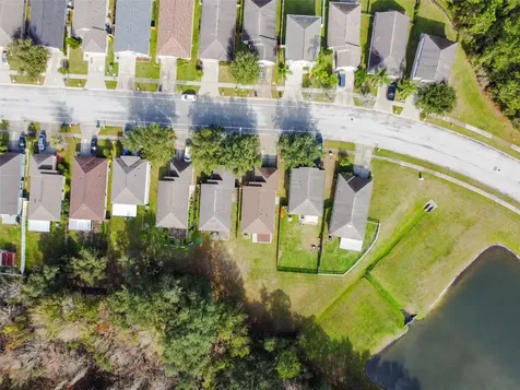30626 Birdhouse Drive Wesley Chapel FL 33545