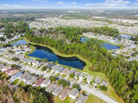 30626 Birdhouse Drive Wesley Chapel FL 33545