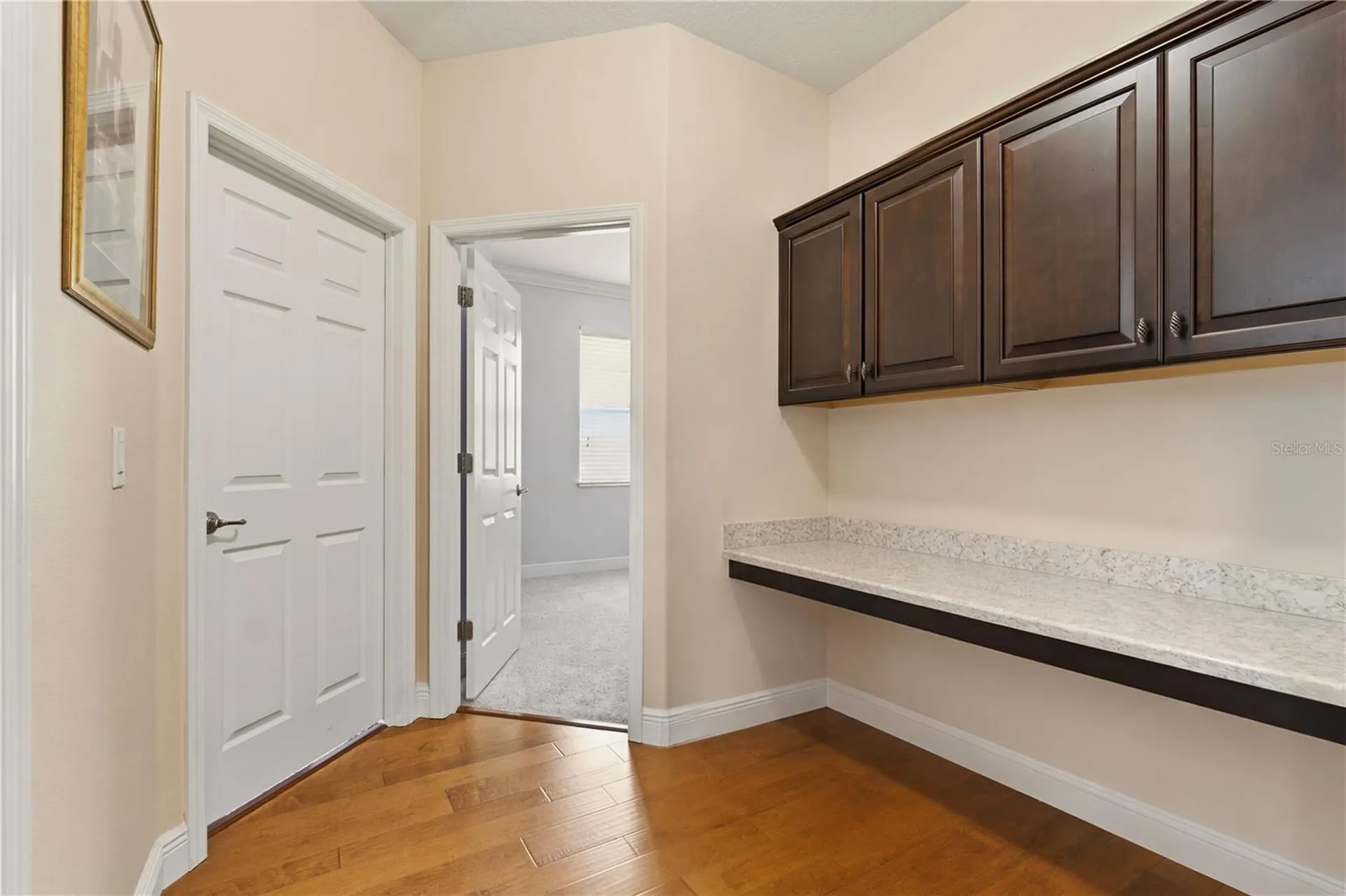 14378 Black Lake Preserve Street Winter Garden FL 34787