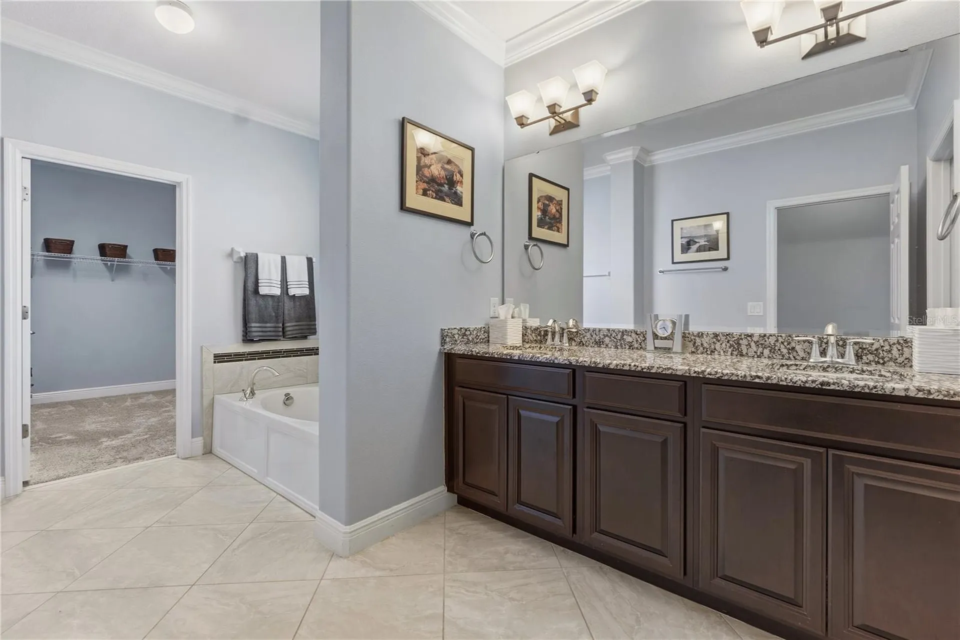 14378 Black Lake Preserve Street Winter Garden FL 34787