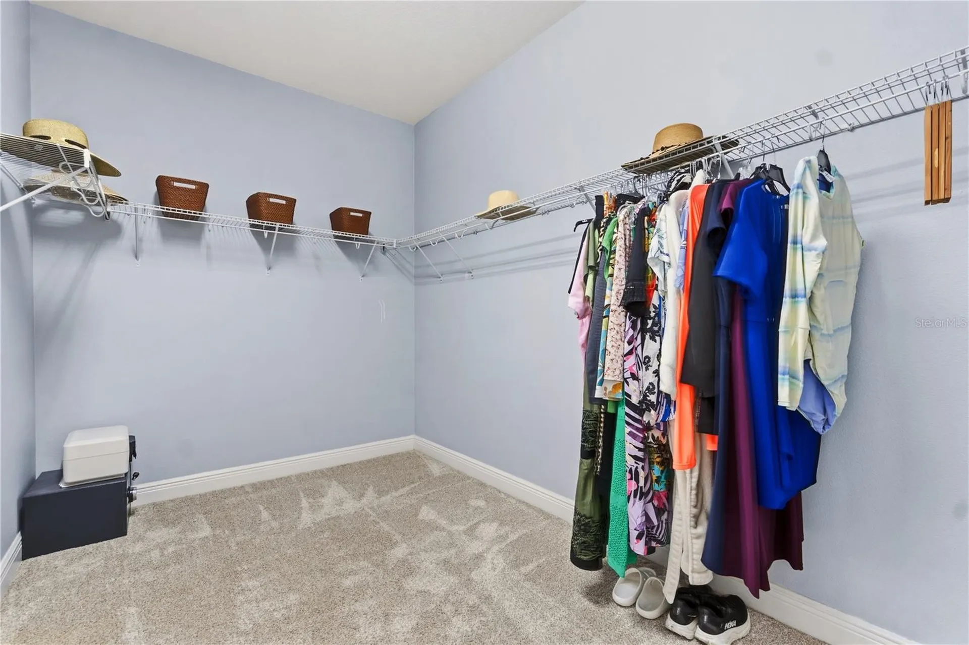 14378 Black Lake Preserve Street Winter Garden FL 34787