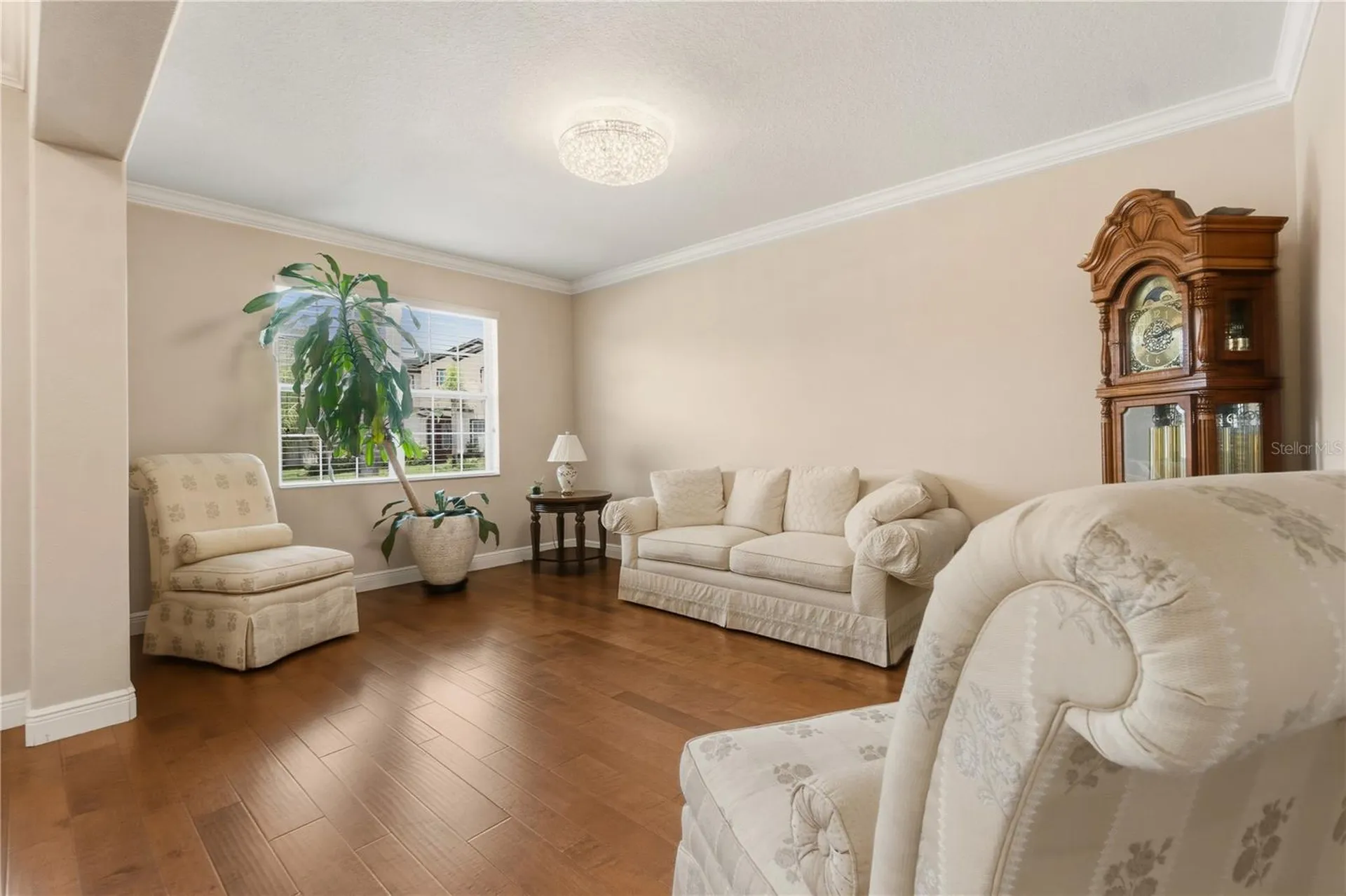 14378 Black Lake Preserve Street Winter Garden FL 34787