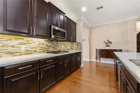 14378 Black Lake Preserve Street Winter Garden FL 34787