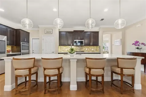 14378 Black Lake Preserve Street Winter Garden FL 34787