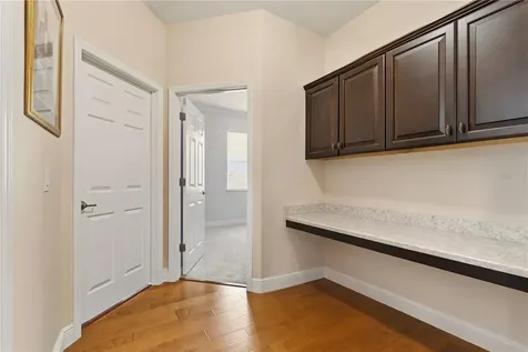 14378 Black Lake Preserve Street Winter Garden FL 34787