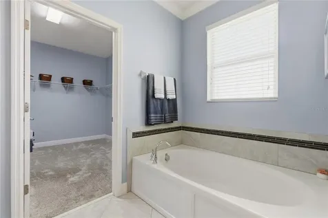 14378 Black Lake Preserve Street Winter Garden FL 34787