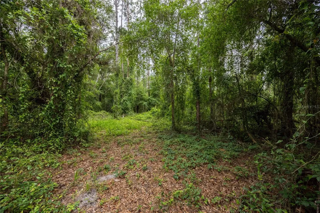 229 SW Barwick Terrace Lake City FL 32024
