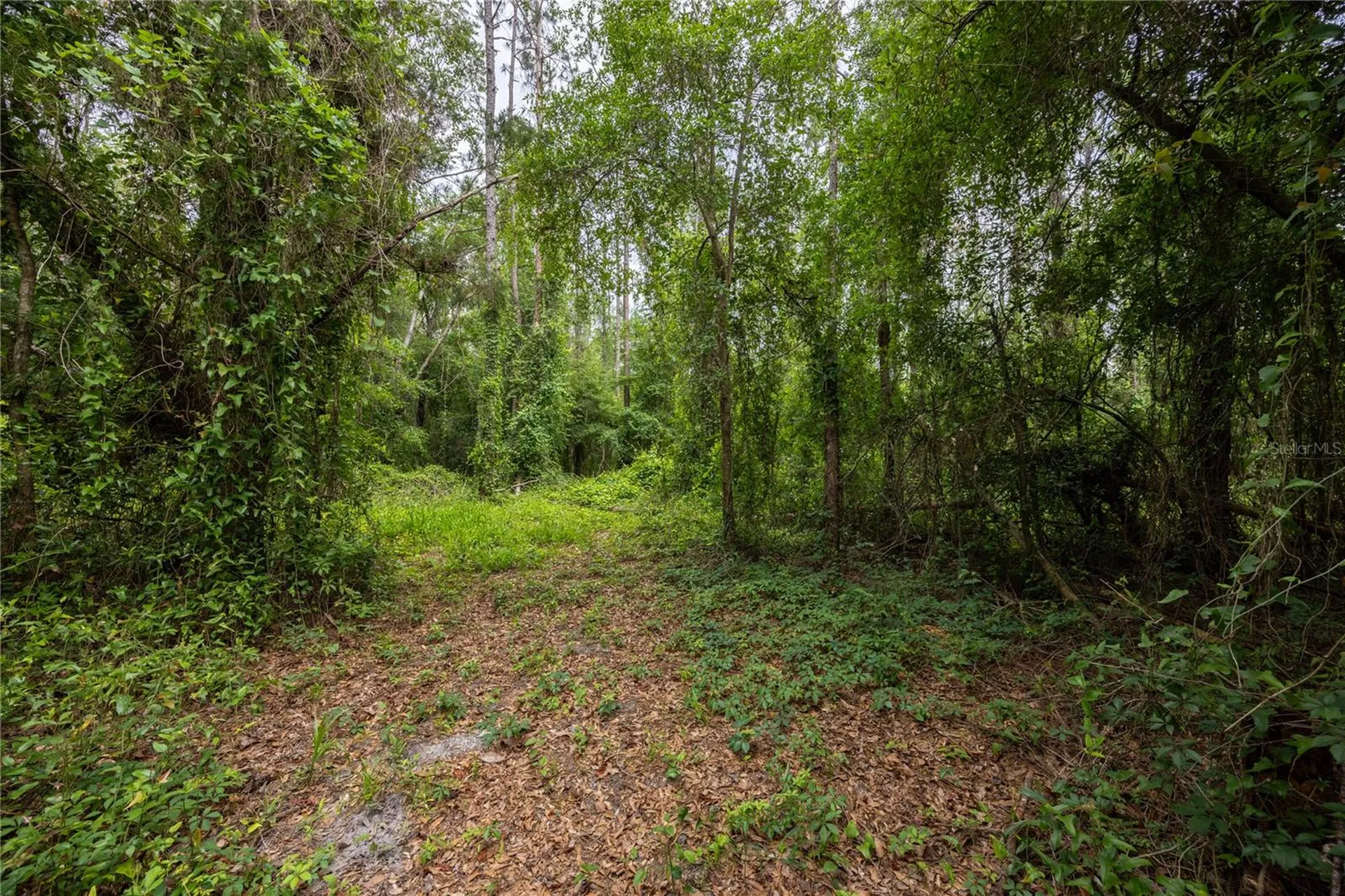 229 SW Barwick Terrace Lake City FL 32024