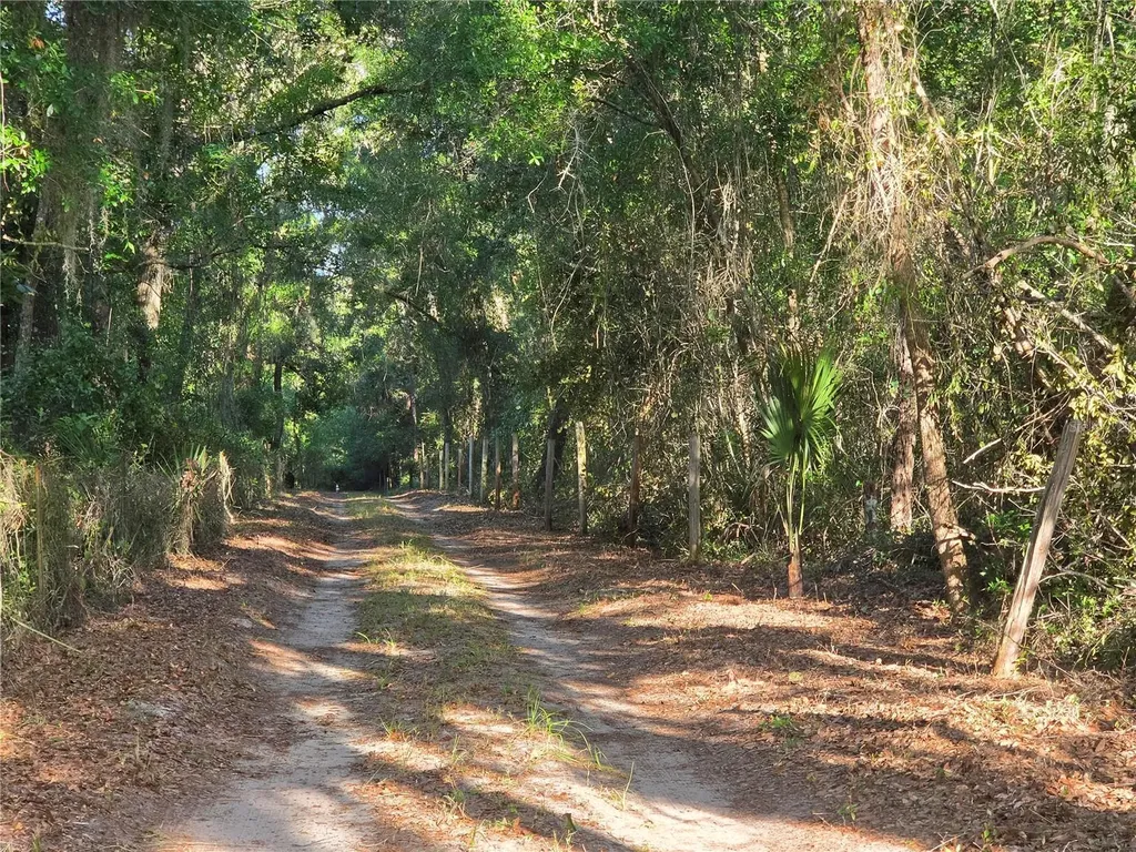 35245 William Lane Eustis FL 32736