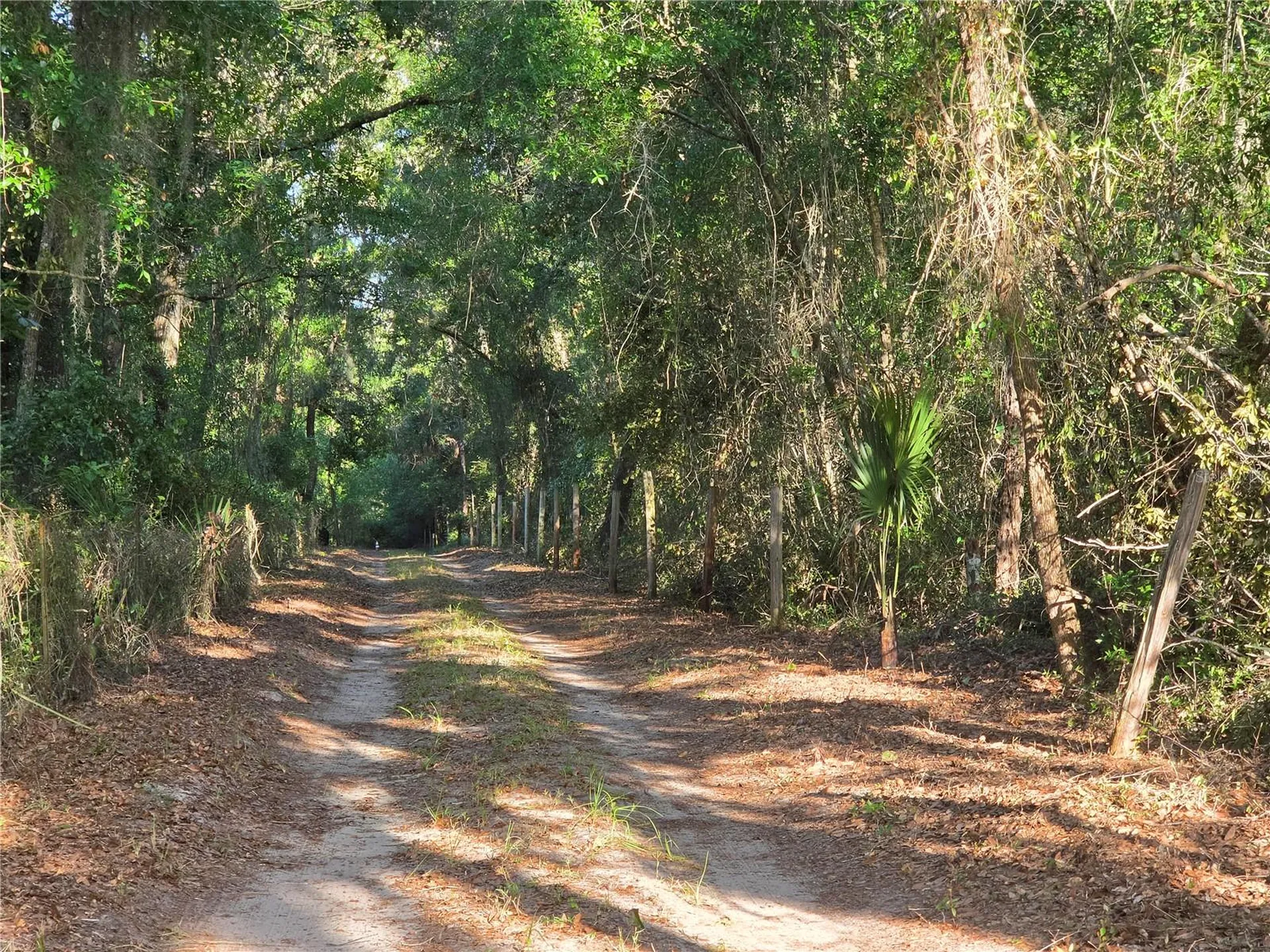 35245 William Lane Eustis FL 32736