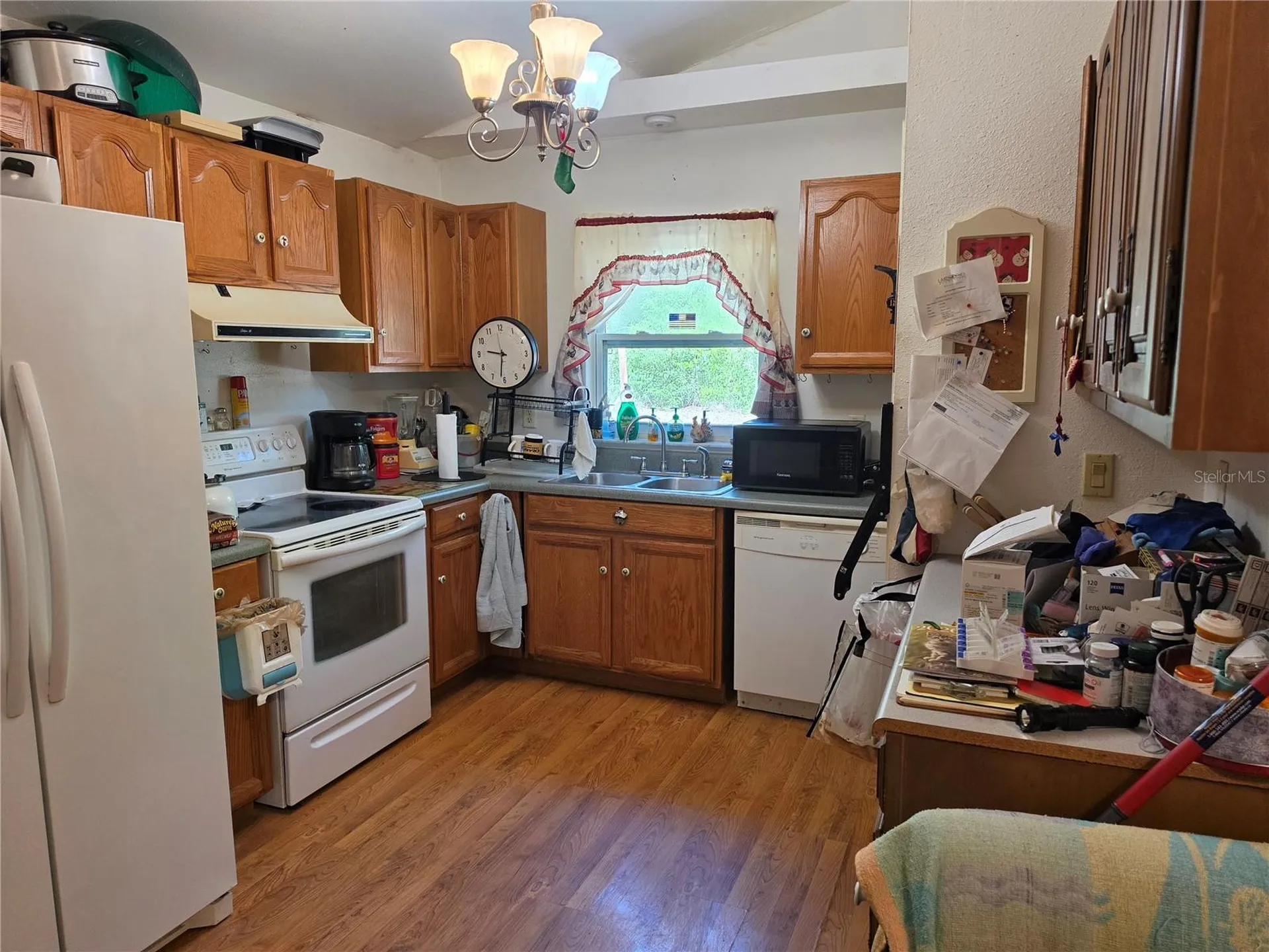 35245 William Lane Eustis FL 32736