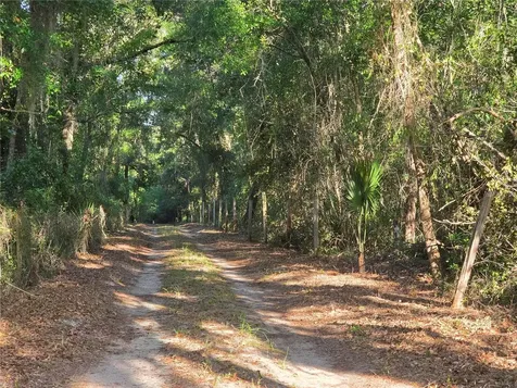 35245 William Lane Eustis FL 32736