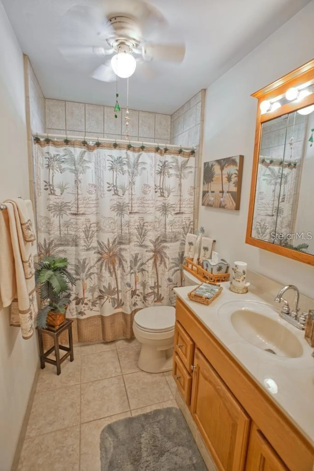 12802 N 53rd Street Temple Terrace FL 33617