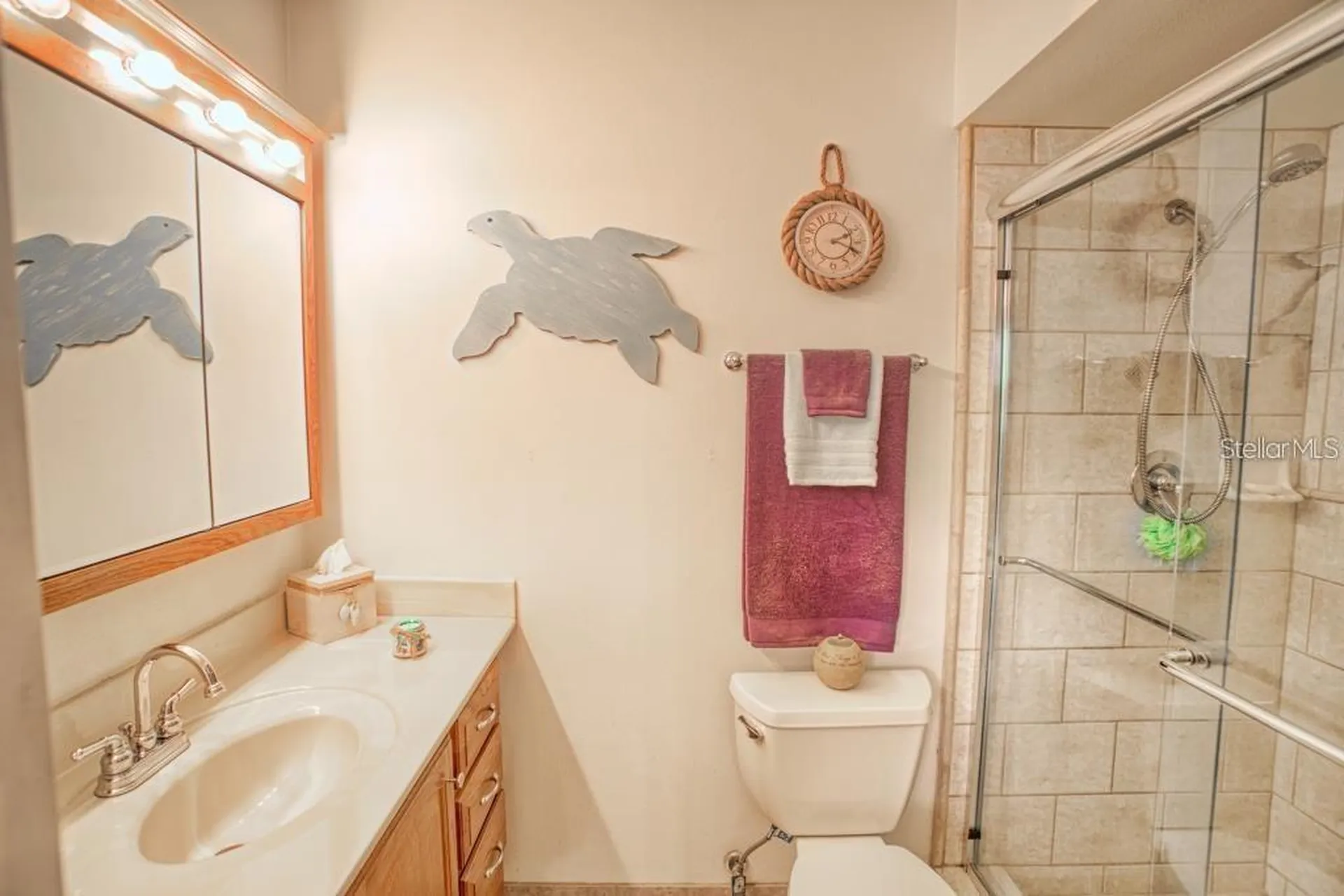 12802 N 53rd Street Temple Terrace FL 33617