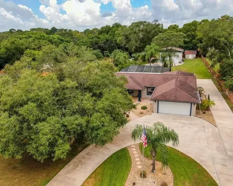 12802 N 53rd Street Temple Terrace FL 33617