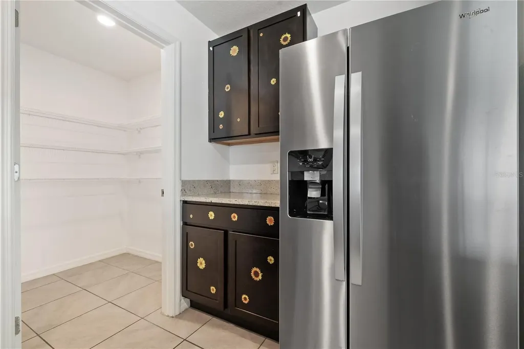 11926 Downy Birch Drive Riverview FL 33569