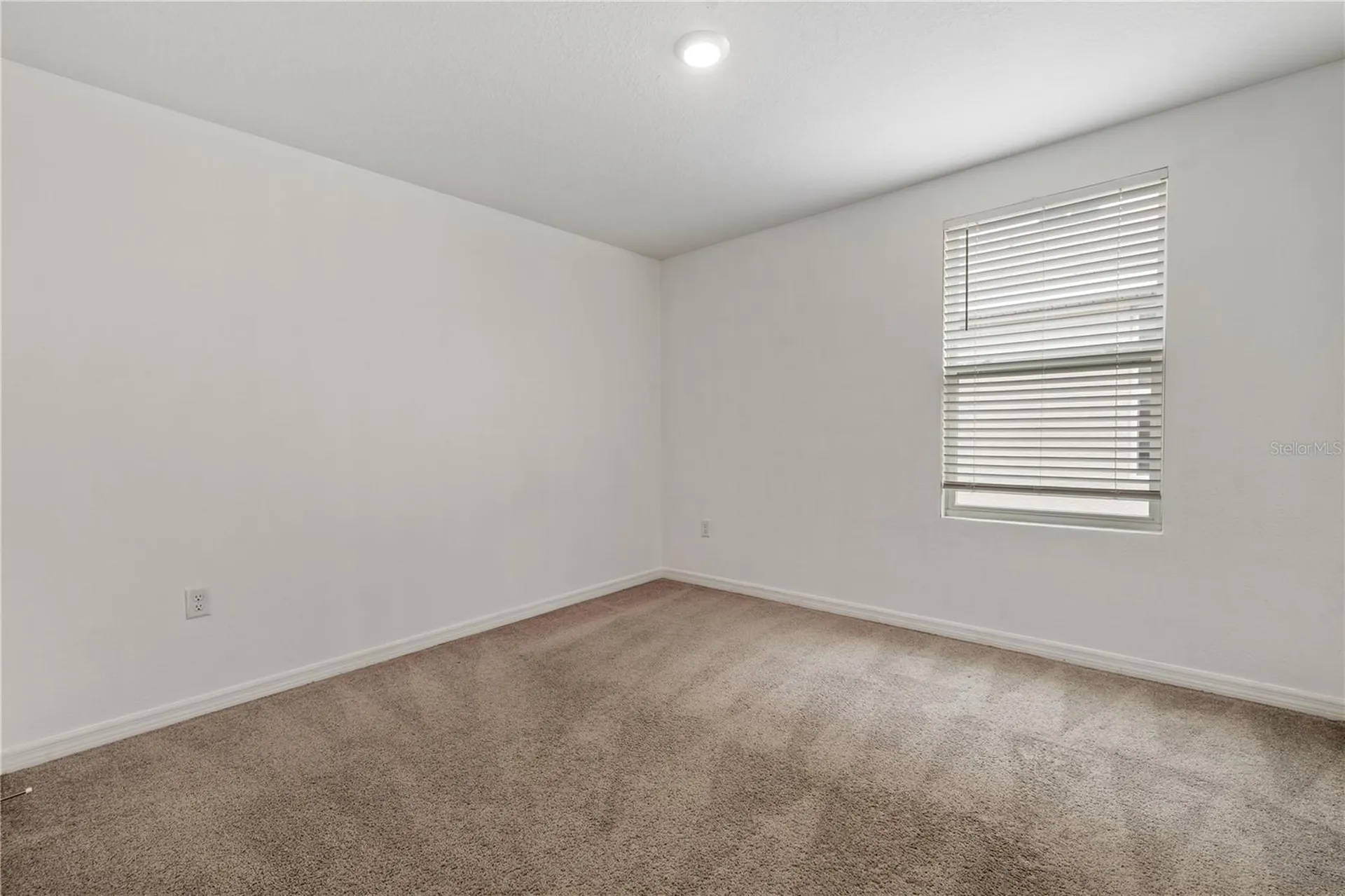 11926 Downy Birch Drive Riverview FL 33569