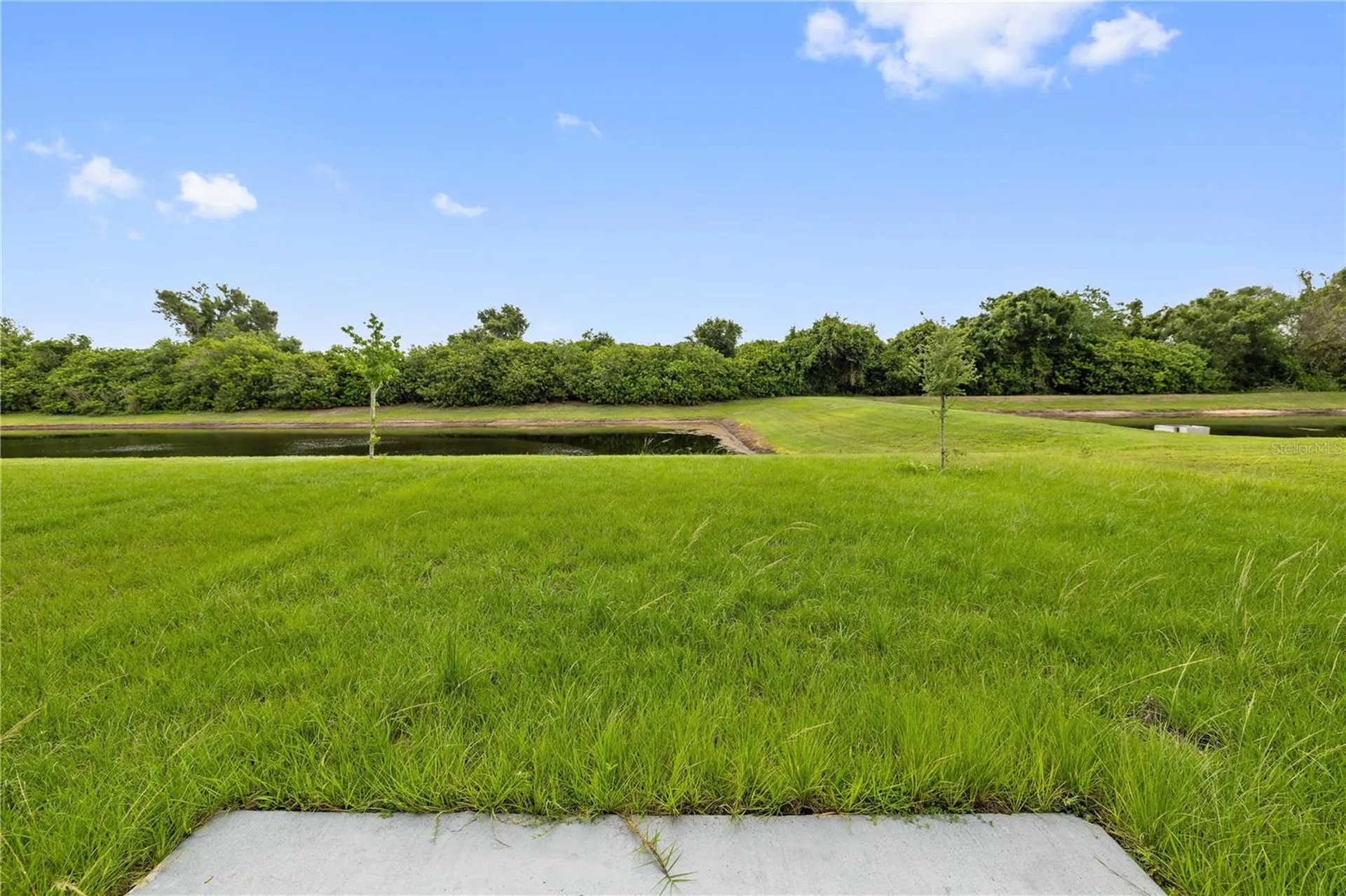 11926 Downy Birch Drive Riverview FL 33569