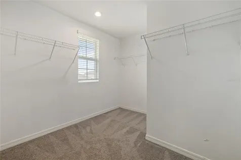 11926 Downy Birch Drive Riverview FL 33569