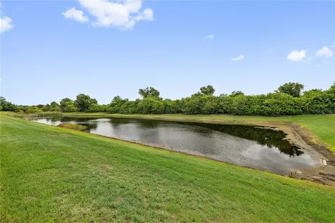 11926 Downy Birch Drive Riverview FL 33569