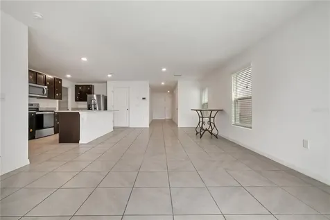 11926 Downy Birch Drive Riverview FL 33569