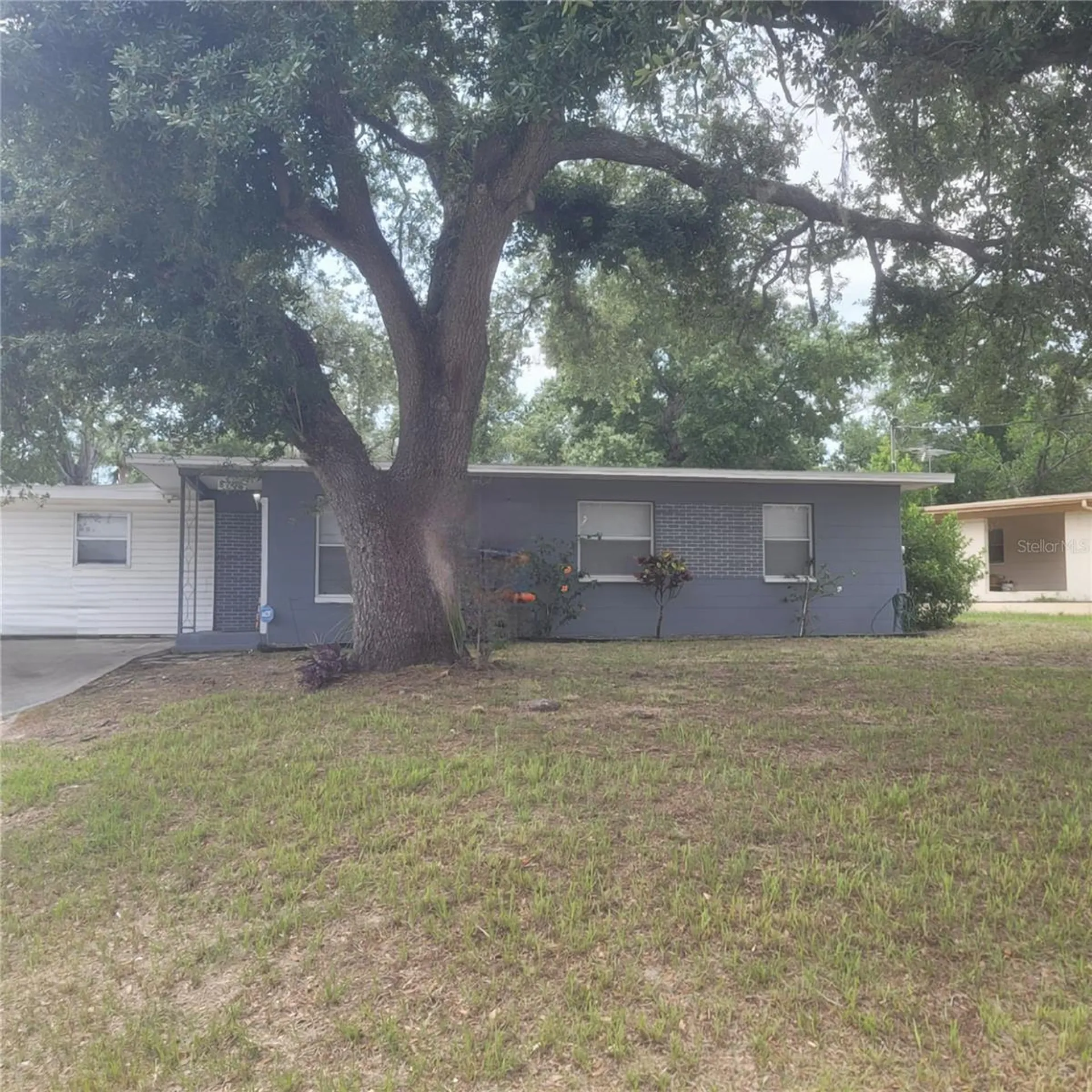 8702 Beverly Drive Tampa FL 33617