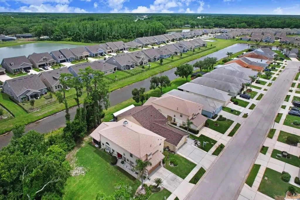 6049 Gentle Ben Circle Wesley Chapel FL 33544