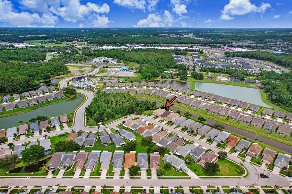 6049 Gentle Ben Circle Wesley Chapel FL 33544
