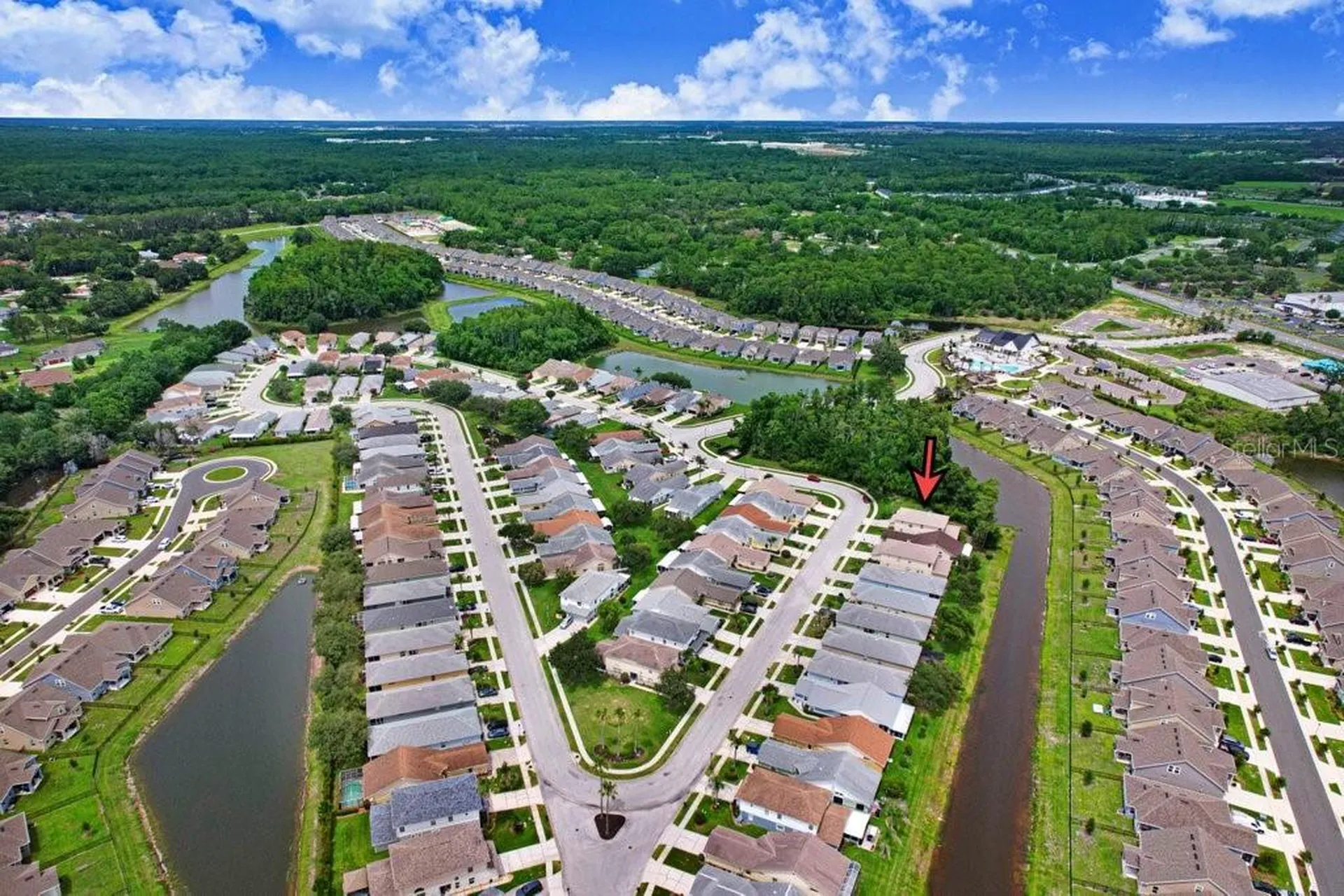 6049 Gentle Ben Circle Wesley Chapel FL 33544