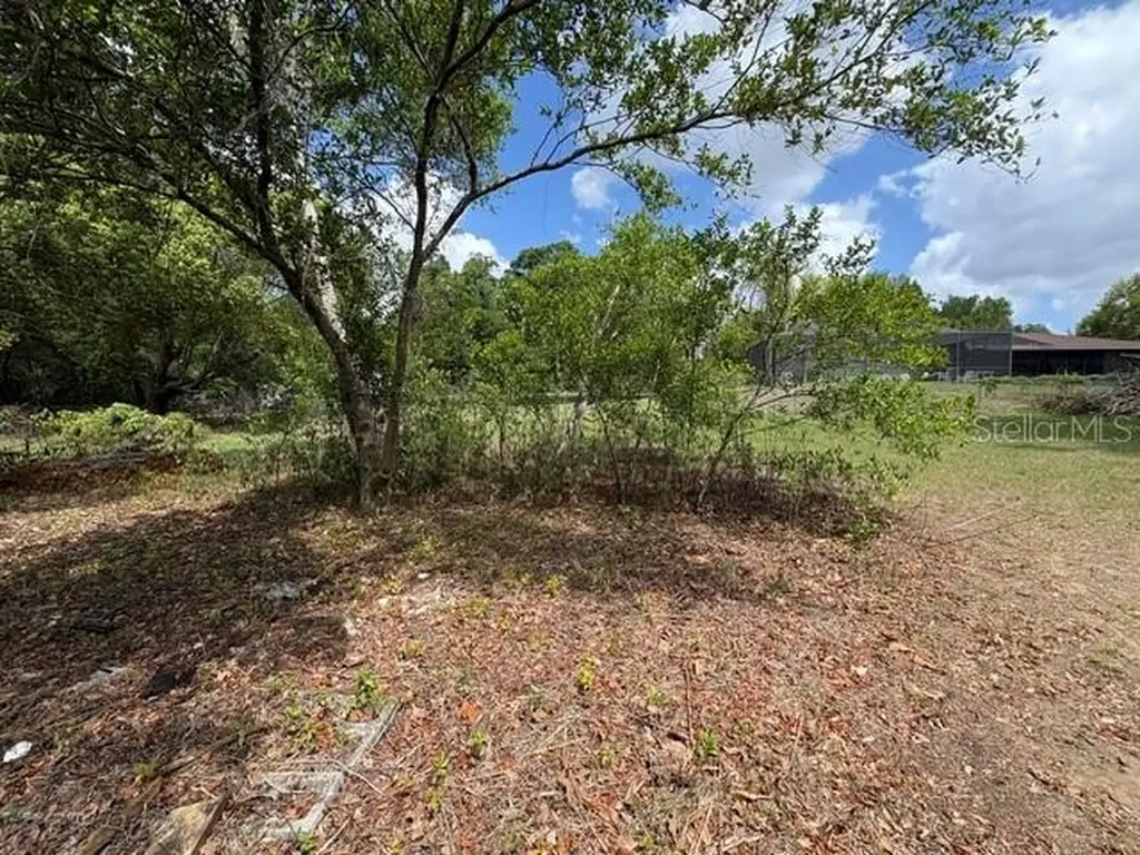 37247 Northside Drive Zephyrhills FL 33541