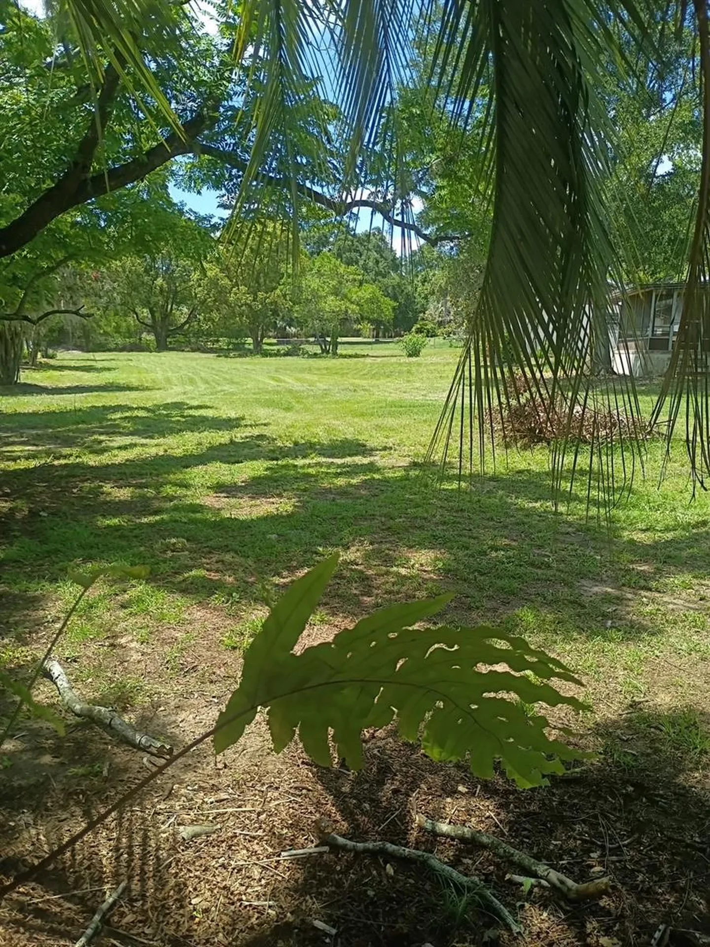 37247 Northside Drive Zephyrhills FL 33541