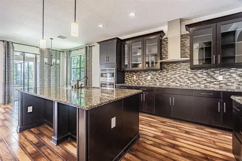 1692 Nature View Drive Lutz FL 33558