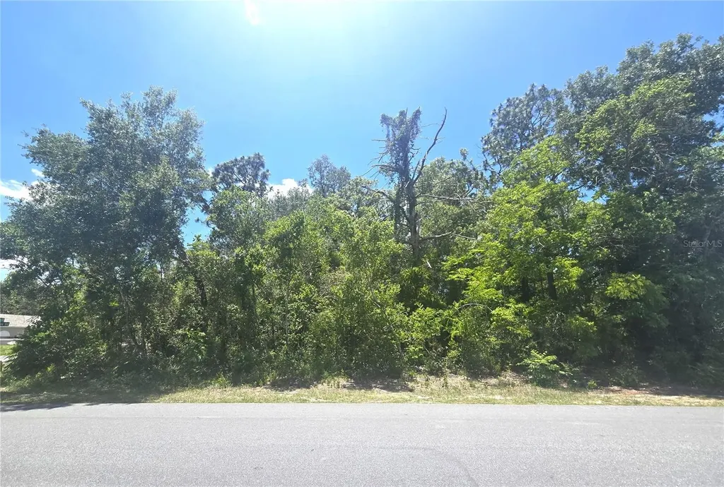 Dunkirk Road Spring Hill FL 34608
