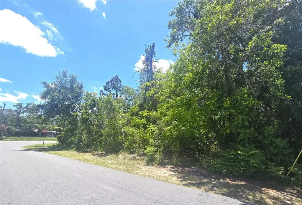 Dunkirk Road Spring Hill FL 34608