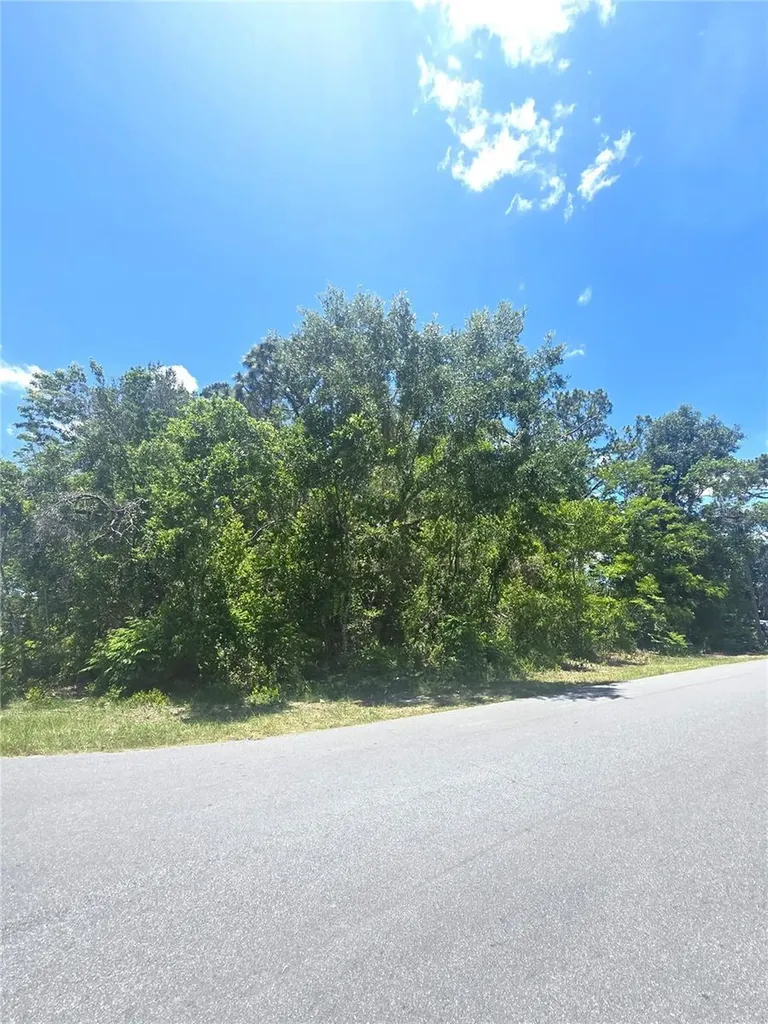Dunkirk Road Spring Hill FL 34608