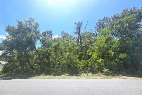 Dunkirk Road Spring Hill FL 34608