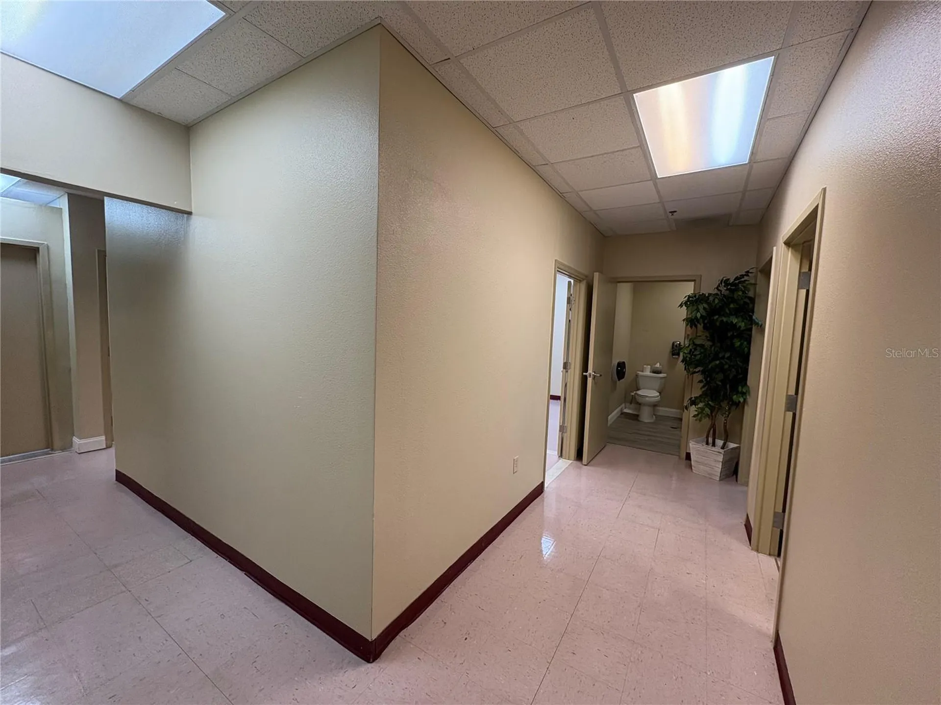 13250 N 56th Street Temple Terrace FL 33617