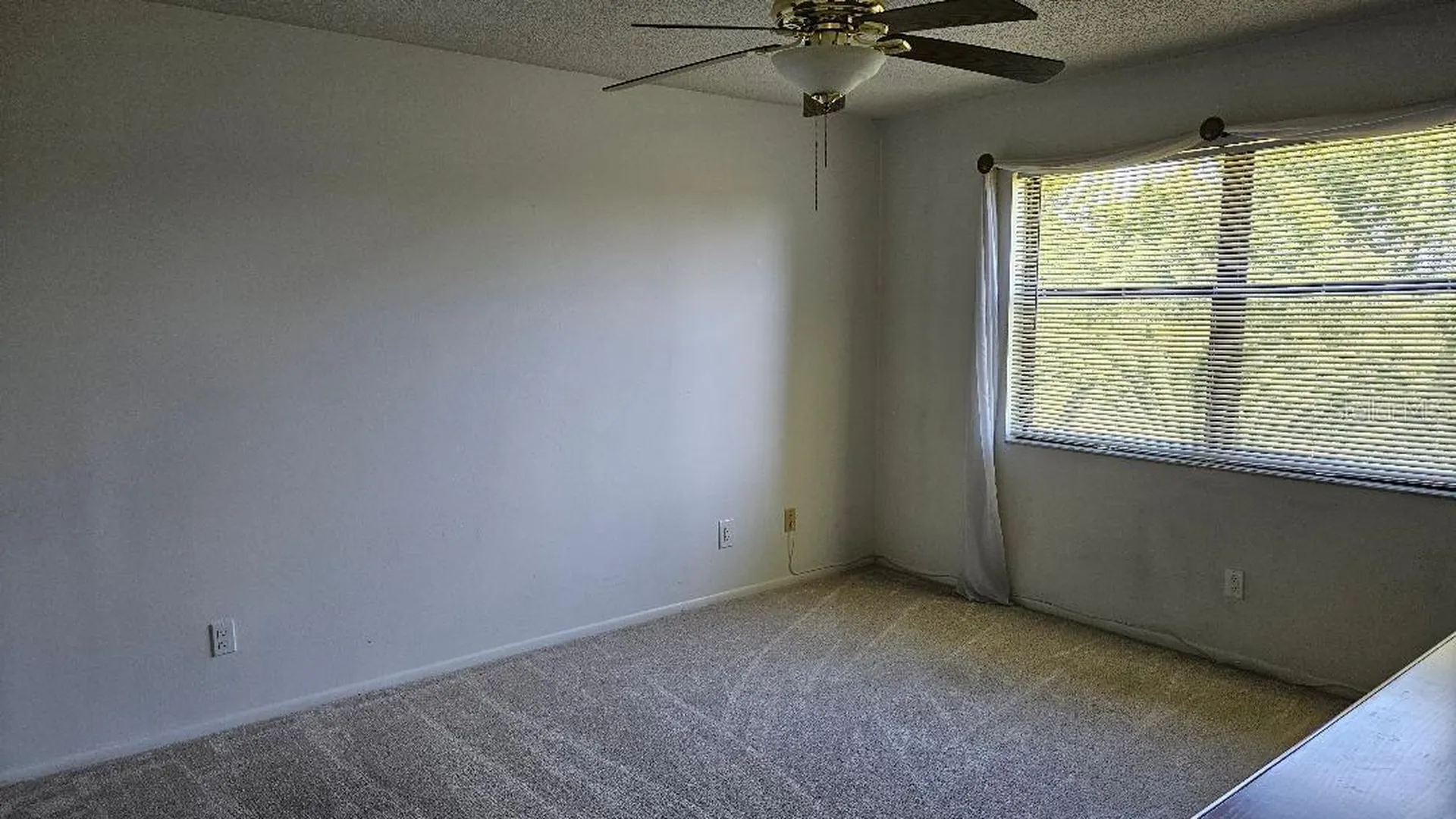 5920 80th Street N St Petersburg FL 33709