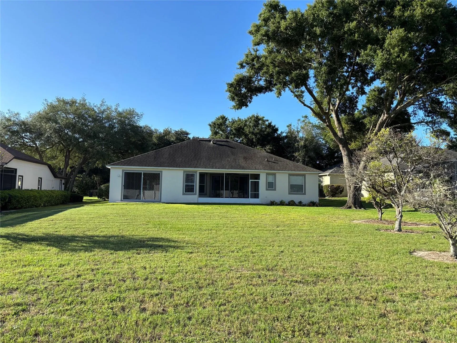 561 Strathclyde Court Apopka FL 32712