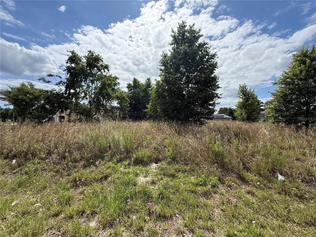 00 Juniper Loop Place Ocala FL 34480