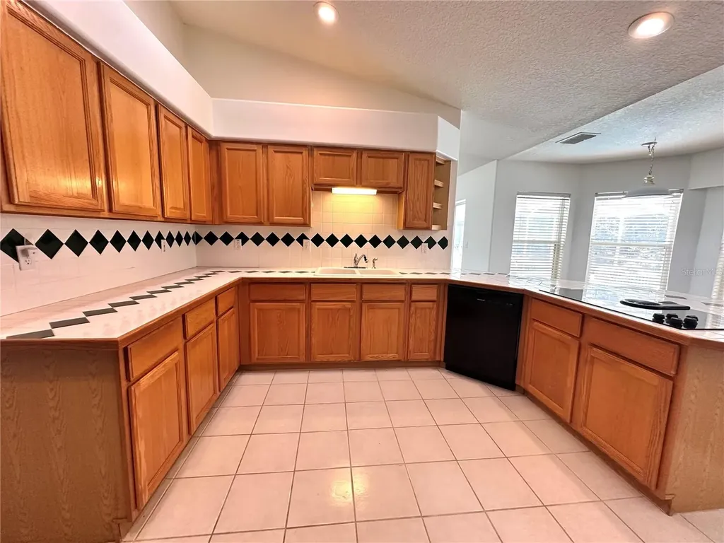 29439 Schinnecock Hills Lane San Antonio FL 33576