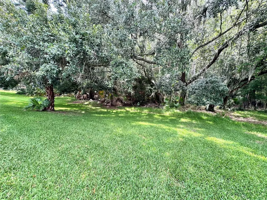29439 Schinnecock Hills Lane San Antonio FL 33576