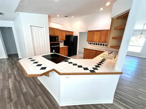 29439 Schinnecock Hills Lane San Antonio FL 33576