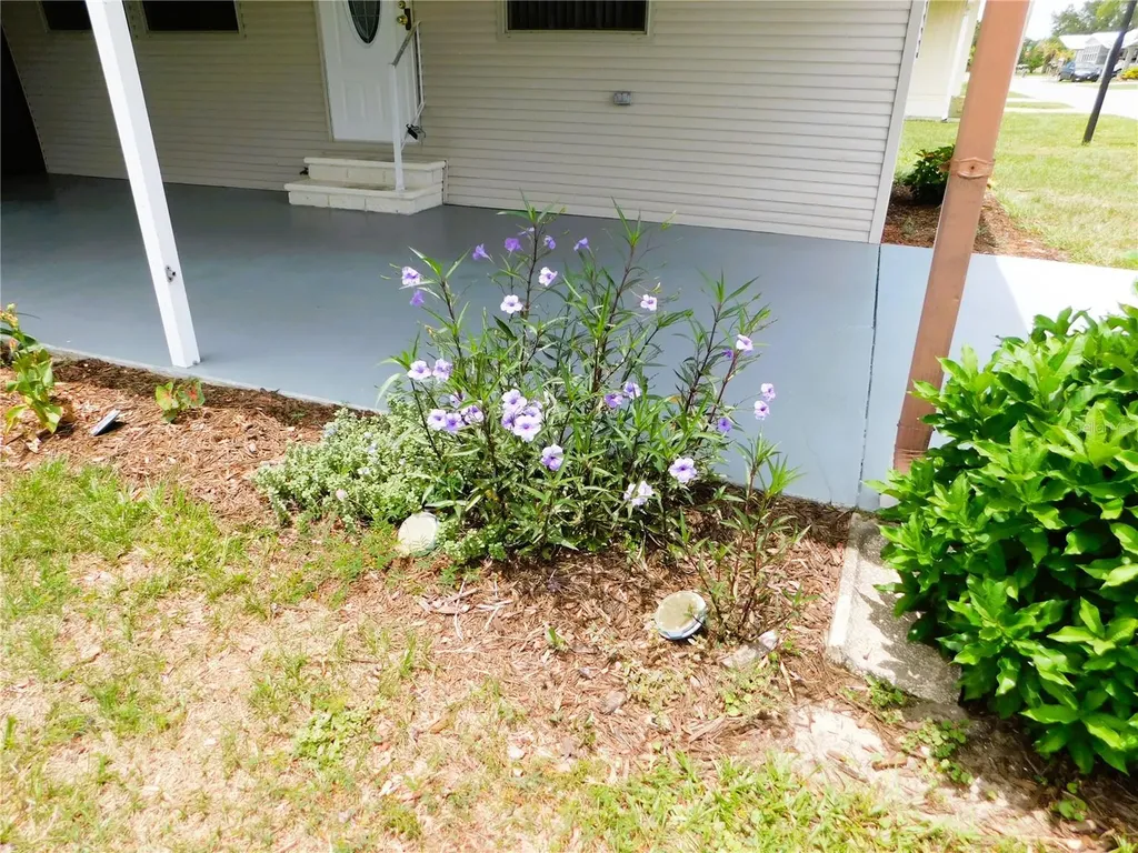 5315 Antigua Drive Zephyrhills FL 33541