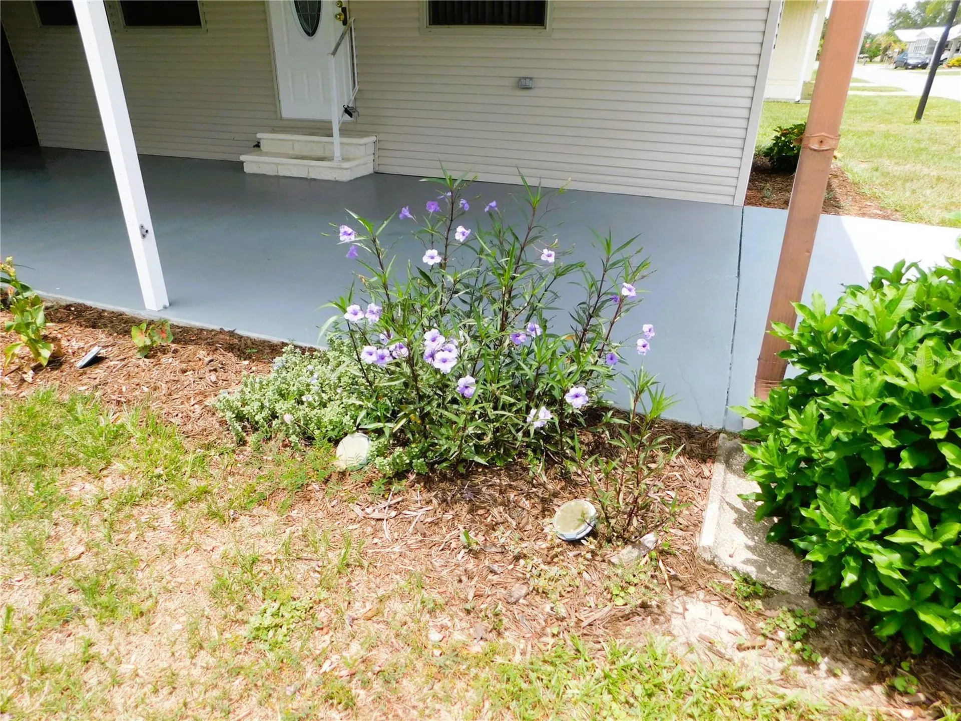 5315 Antigua Drive Zephyrhills FL 33541
