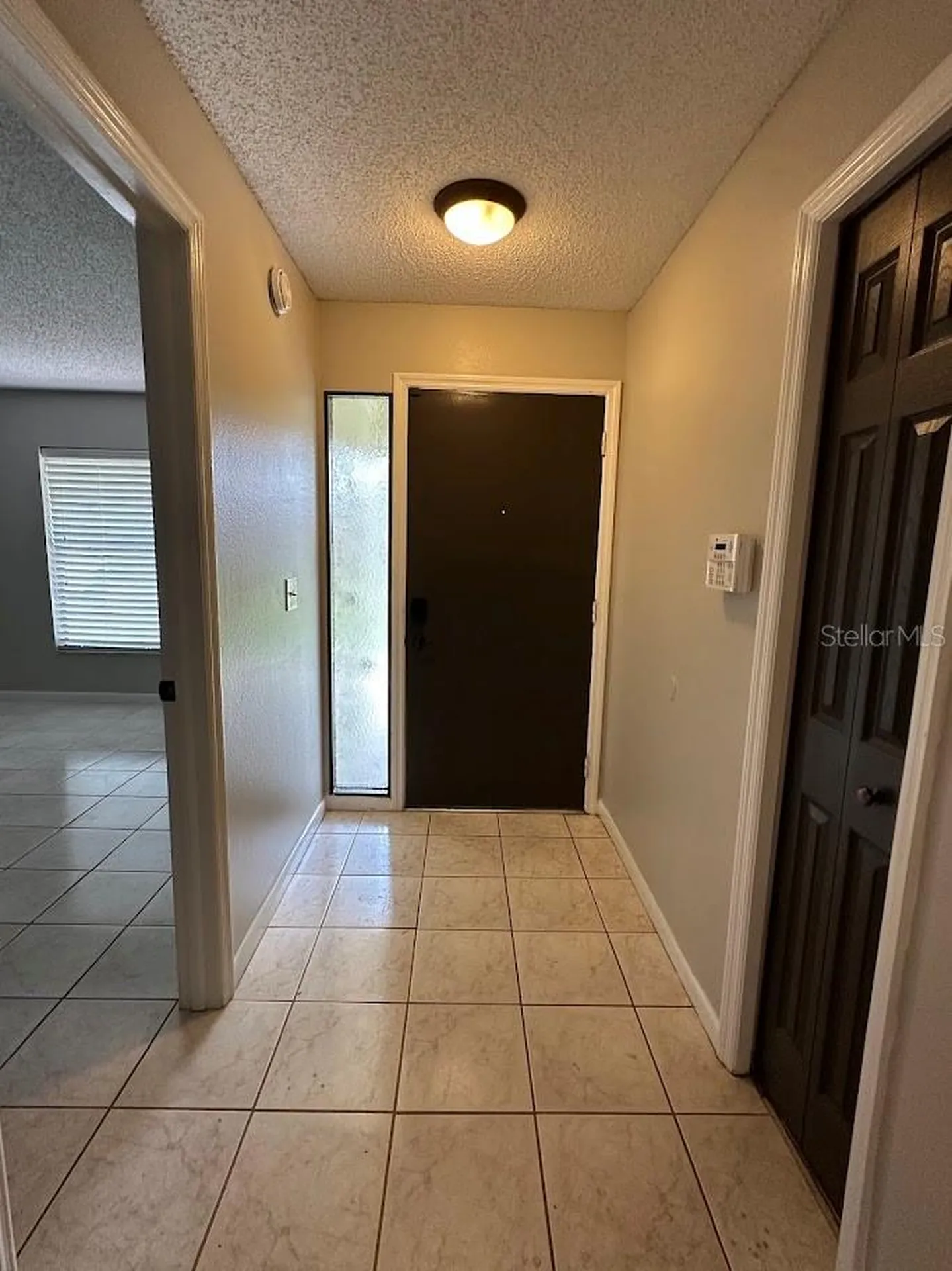 17644 Meadowbridge Drive Lutz FL 33549