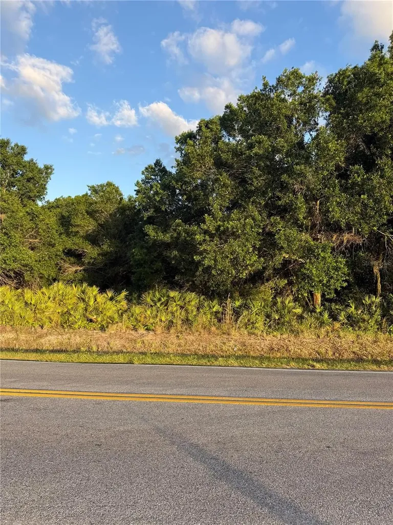 0 Alturas Babson Park Cutoff Road Lake Wales FL 33859