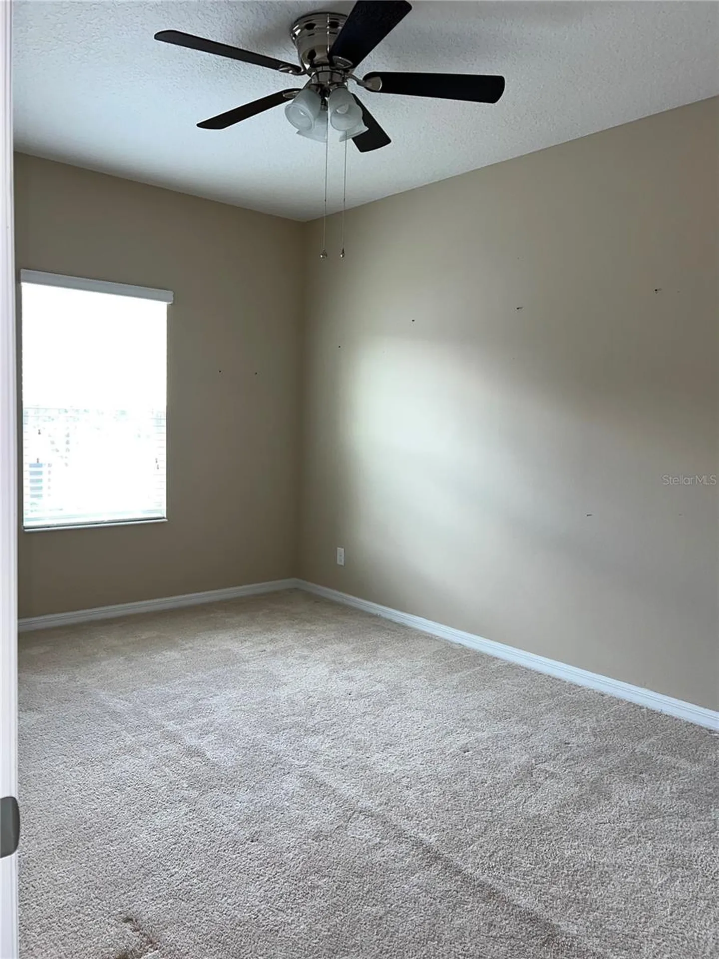 1073 Palma Verde Place Apopka FL 32712