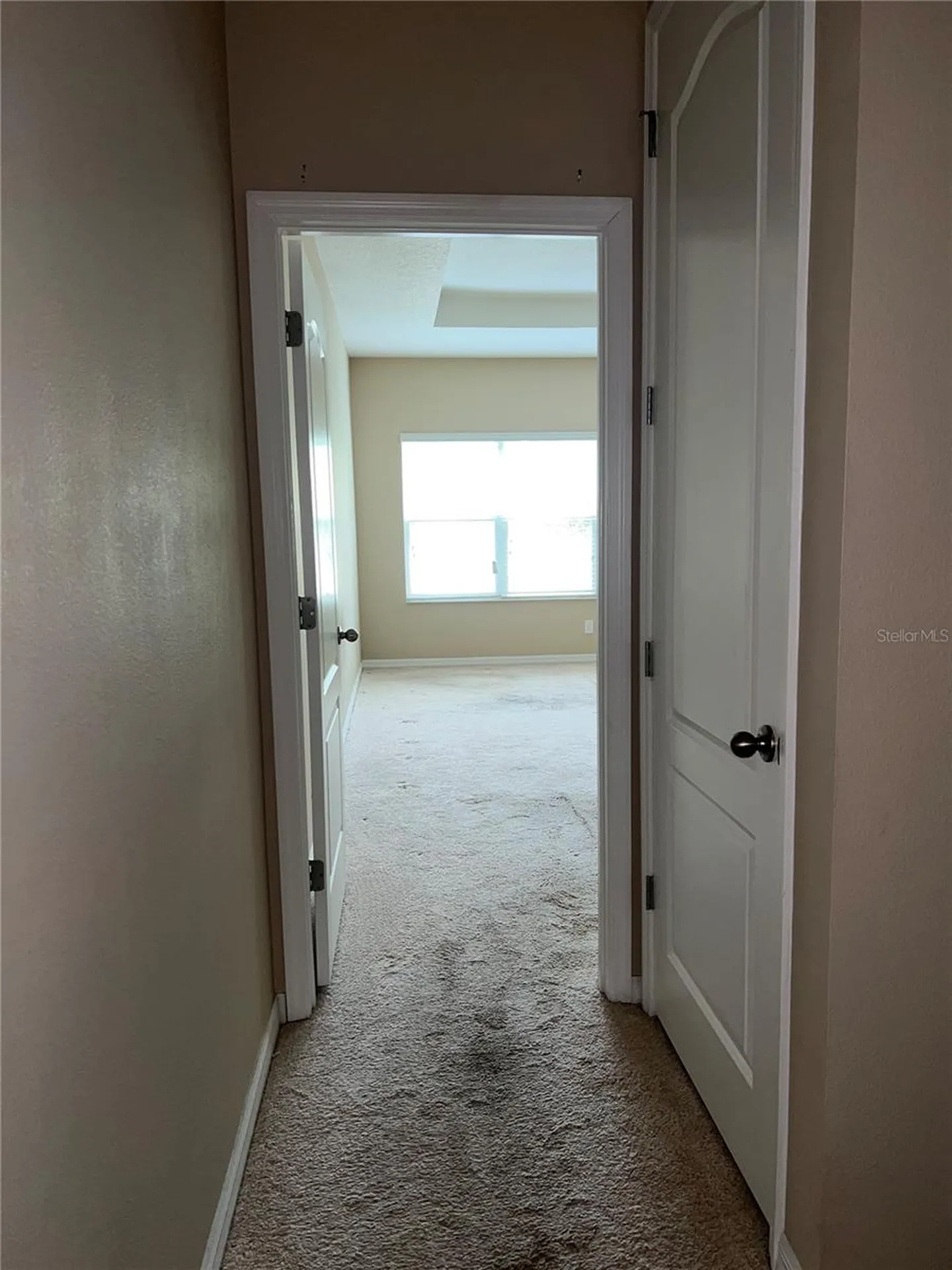 1073 Palma Verde Place Apopka FL 32712